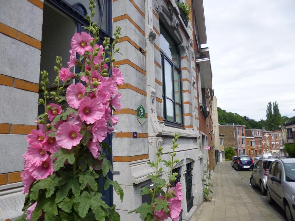 B&B Matin Tranquille Liège Dış mekan fotoğraf