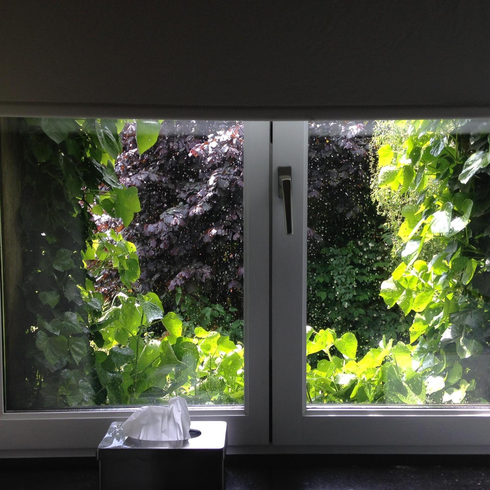 B&B Matin Tranquille Liège Dış mekan fotoğraf