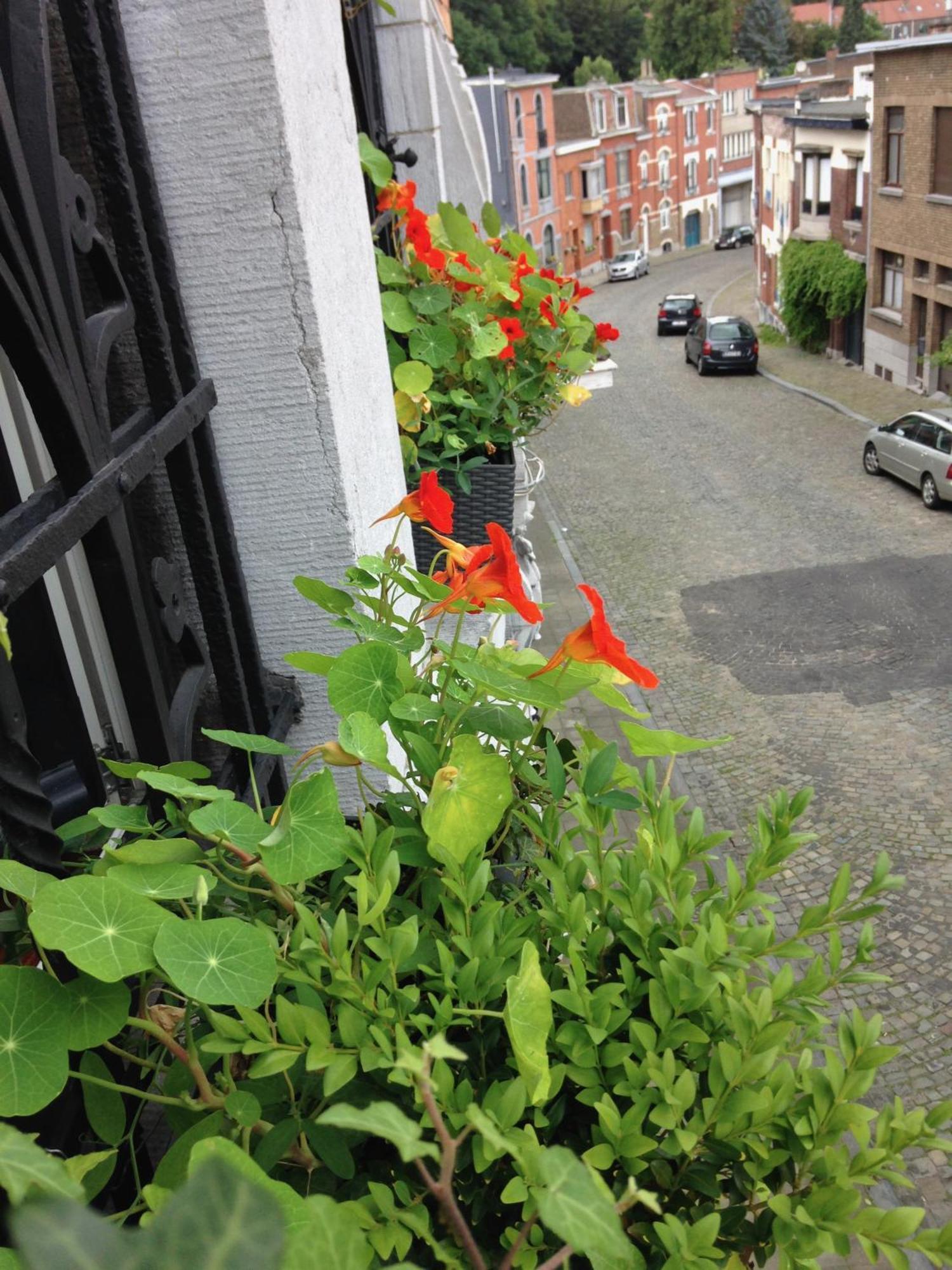 B&B Matin Tranquille Liège Dış mekan fotoğraf
